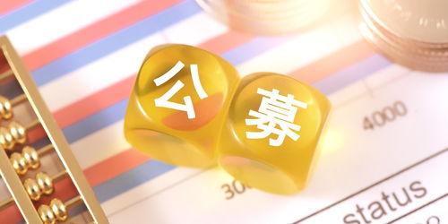 吴清 加快推出机构投资者直销服务平台 便利各类机构投资者参与基金投资